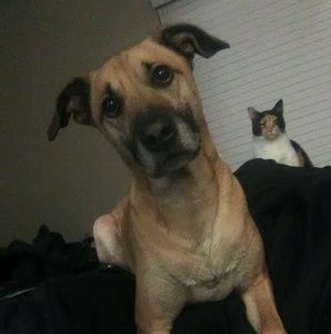 Meet your Posher, Caroline